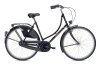 FALTER H 1.0 black 50 cm